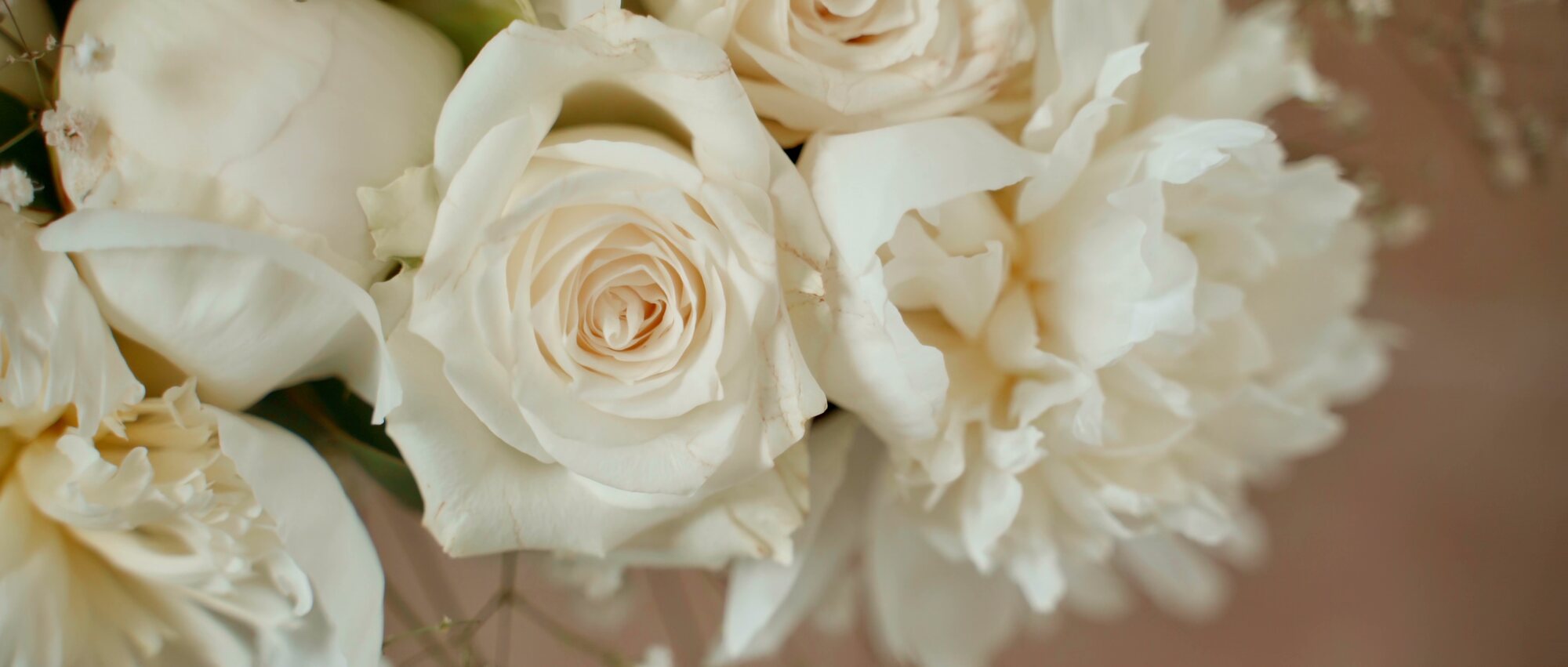 Bouquet de roses blanches de la mariée